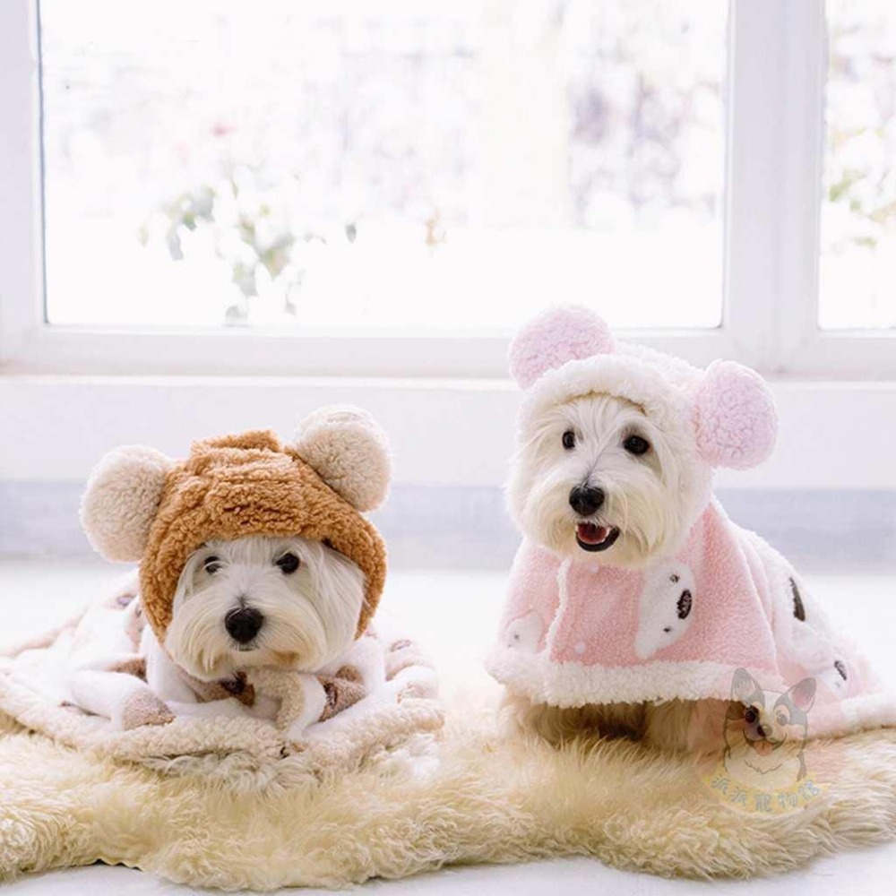 🐻熊熊斗篷🐻 寵物衣服 狗狗衣服 狗衣服 柯基衣服 寵物服飾寵物狗狗貓咪披風斗篷幼犬幼貓小中大型犬柴犬比熊貴賓貓咪衣服-細節圖5