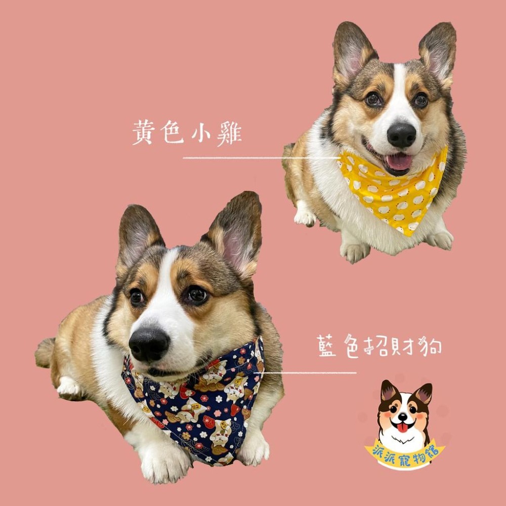 ✨多款✨日系口水巾 寵物領巾 狗狗領巾 貓咪領巾 寵物項圈 柯基柴犬兔子三角巾口水巾頸圈飾品小中大型犬配件圍巾狗圍兜兜-細節圖4