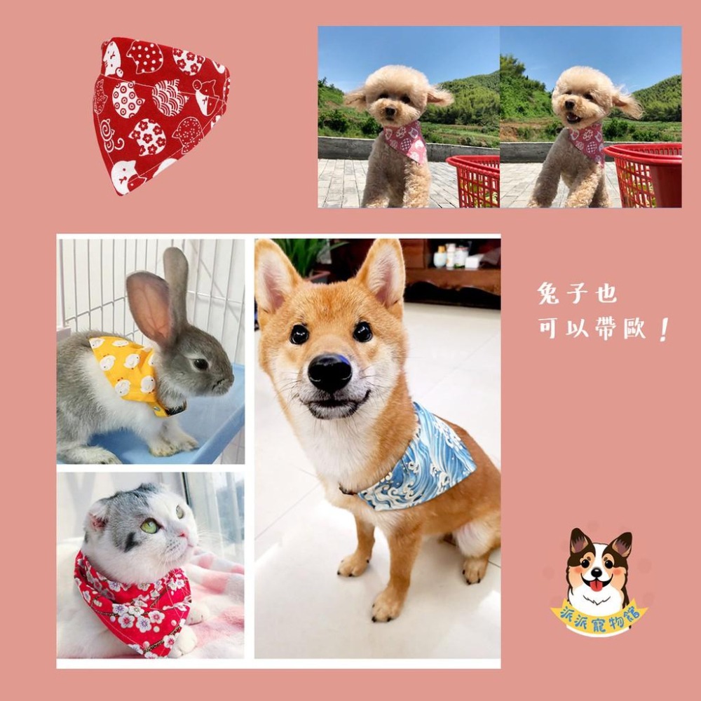 ✨多款✨日系口水巾 寵物領巾 狗狗領巾 貓咪領巾 寵物項圈 柯基柴犬兔子三角巾口水巾頸圈飾品小中大型犬配件圍巾狗圍兜兜-細節圖8
