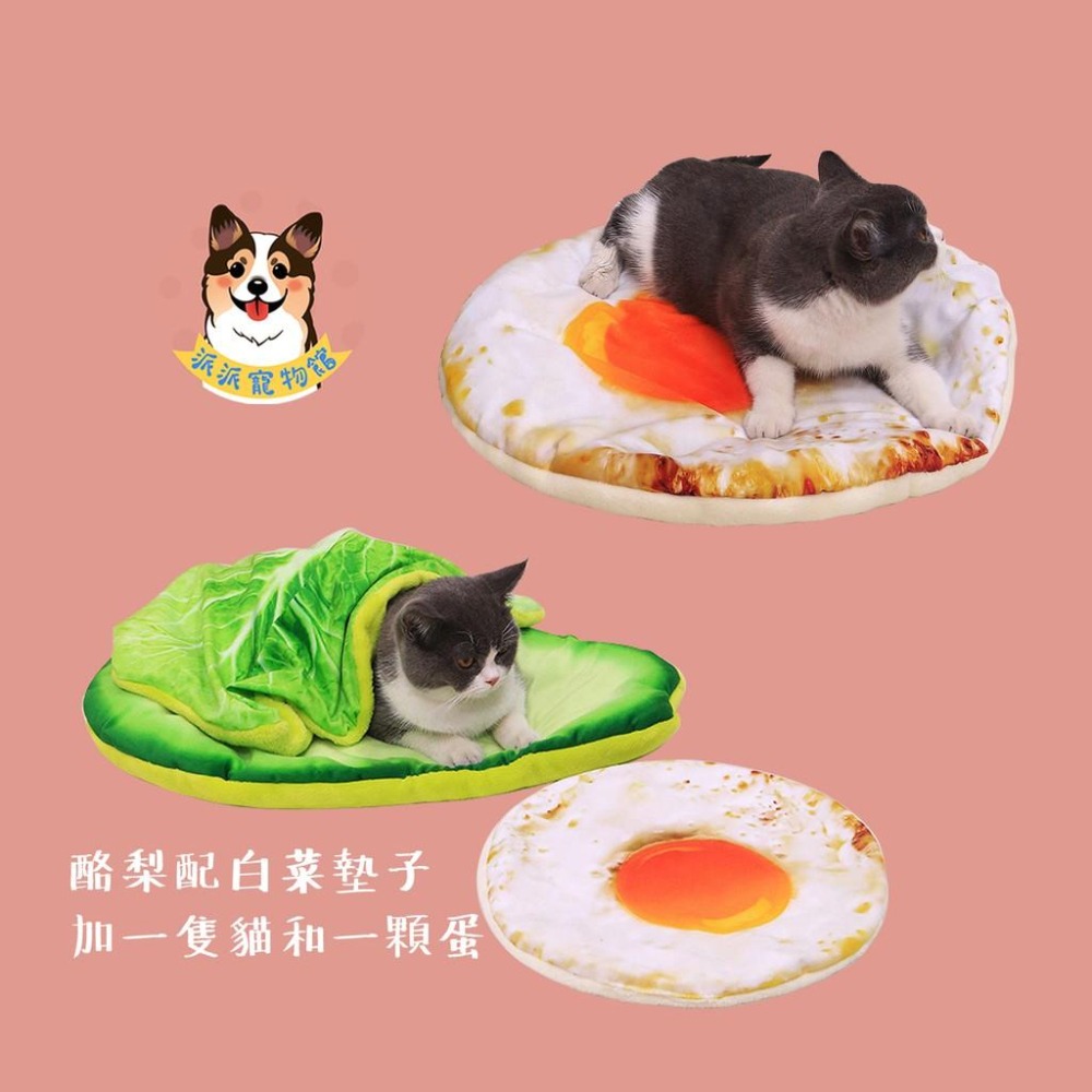 仿真食物墊子/毛毯🍕 寵物墊子 寵物毛毯 狗窩 狗狗睡墊 寵物墊 狗墊 貓窩 寵物睡墊寵物毯貓墊貓睡墊貓咪墊子狗狗地墊-細節圖3