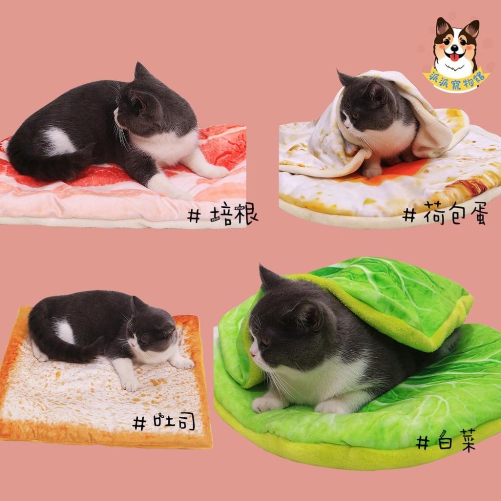 仿真食物墊子/毛毯🍕 寵物墊子 寵物毛毯 狗窩 狗狗睡墊 寵物墊 狗墊 貓窩 寵物睡墊寵物毯貓墊貓睡墊貓咪墊子狗狗地墊-細節圖4