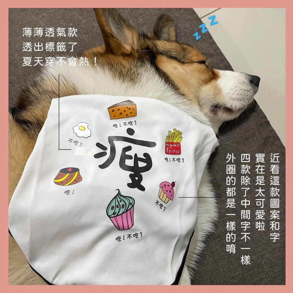 胖肥餓瘦背心🍙  狗衣服 狗狗背心 狗狗衣服 寵物衣服 貓咪衣服 小狗衣服 夏天幼犬幼貓博美吉娃娃貴賓狗比熊臘腸狗衣服-細節圖4