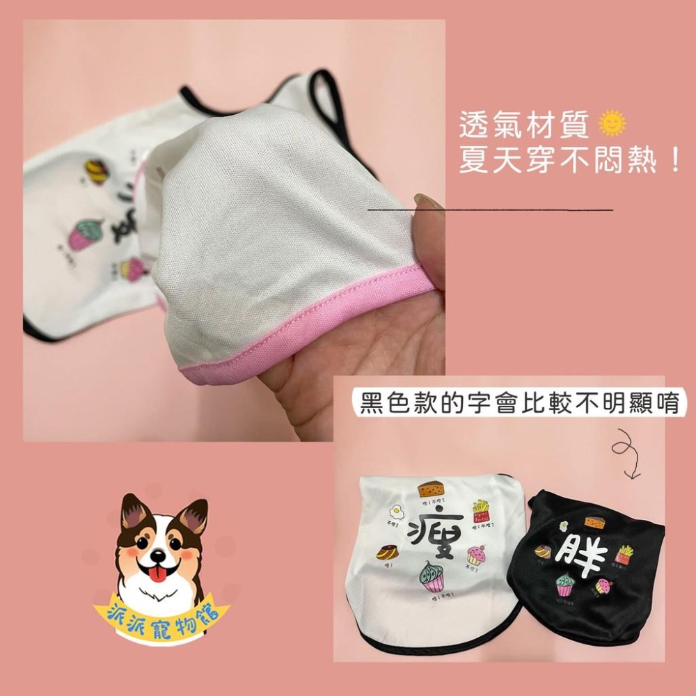 胖肥餓瘦背心🍙  狗衣服 狗狗背心 狗狗衣服 寵物衣服 貓咪衣服 小狗衣服 夏天幼犬幼貓博美吉娃娃貴賓狗比熊臘腸狗衣服-細節圖5