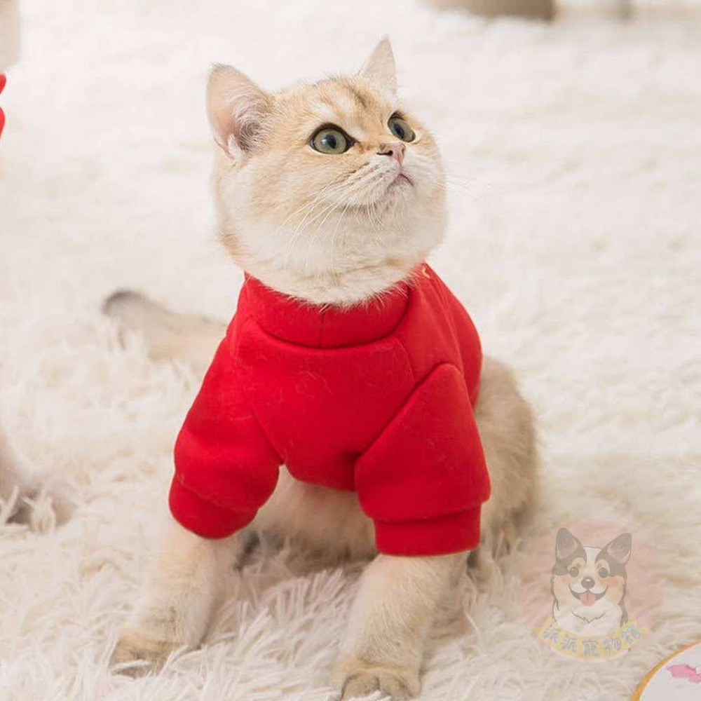 🧨新春系列🌺 貓衣服 狗衣服 寵物衣服 狗狗衣服 貓咪衣服 寵物服飾 幼犬幼貓小狗小貓小型犬寵物狗狗貓咪過年新年開運貓-細節圖5