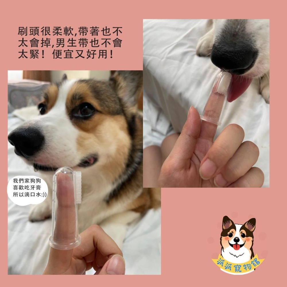 寵物指套牙刷 指套牙刷 狗狗牙刷 狗牙刷 貓牙刷 貓咪牙刷 寵物用品-細節圖2