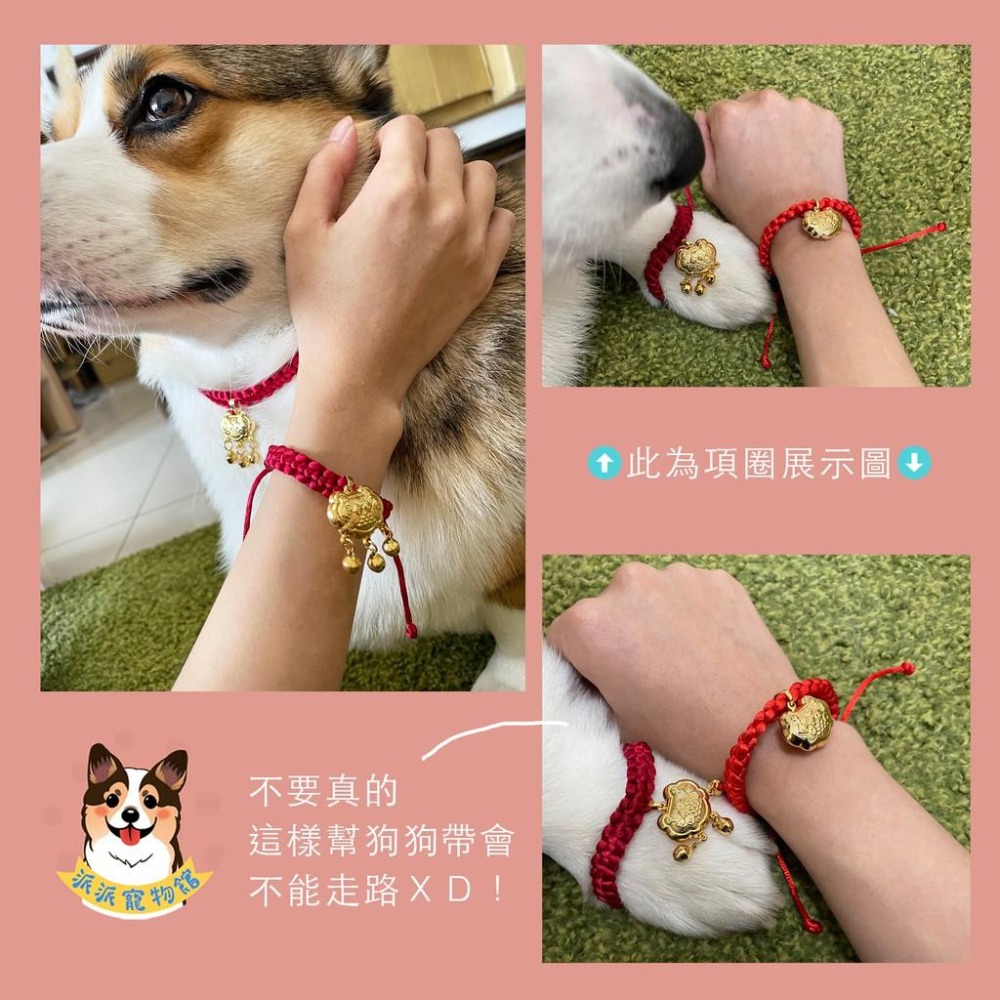 長命百歲項圈🧧 寵物項圈 狗狗項圈 貓咪項圈 狗項圈 貓項圈 狗狗 貓咪項鍊配件小中大型犬幼貓幼犬項圈頸圈鈴鐺飾品手鍊-細節圖2