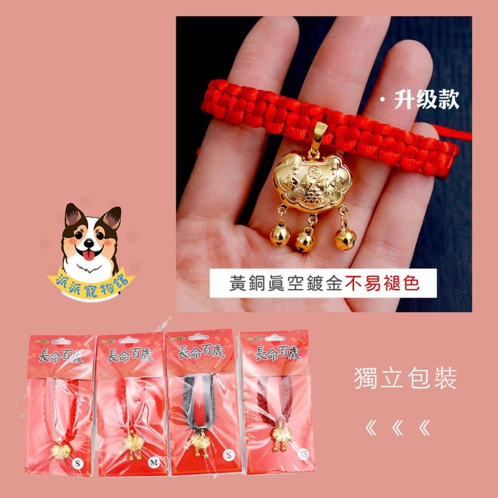 長命百歲項圈🧧 寵物項圈 狗狗項圈 貓咪項圈 狗項圈 貓項圈 狗狗 貓咪項鍊配件小中大型犬幼貓幼犬項圈頸圈鈴鐺飾品手鍊-細節圖3