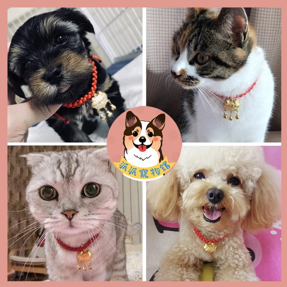 長命百歲項圈🧧 寵物項圈 狗狗項圈 貓咪項圈 狗項圈 貓項圈 狗狗 貓咪項鍊配件小中大型犬幼貓幼犬項圈頸圈鈴鐺飾品手鍊-細節圖4
