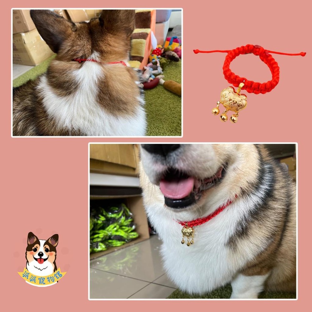 長命百歲項圈🧧 寵物項圈 狗狗項圈 貓咪項圈 狗項圈 貓項圈 狗狗 貓咪項鍊配件小中大型犬幼貓幼犬項圈頸圈鈴鐺飾品手鍊-細節圖5
