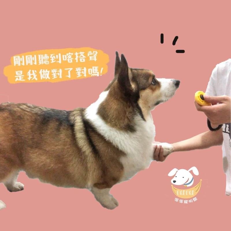 訓練好幫手🙌  訓練響片 響片 寵物訓練 狗狗訓練 響板 響片 狗 訓狗器狗狗用品狗用品寵物訓練器訓練狗狗寵物用品狗狗-細節圖4