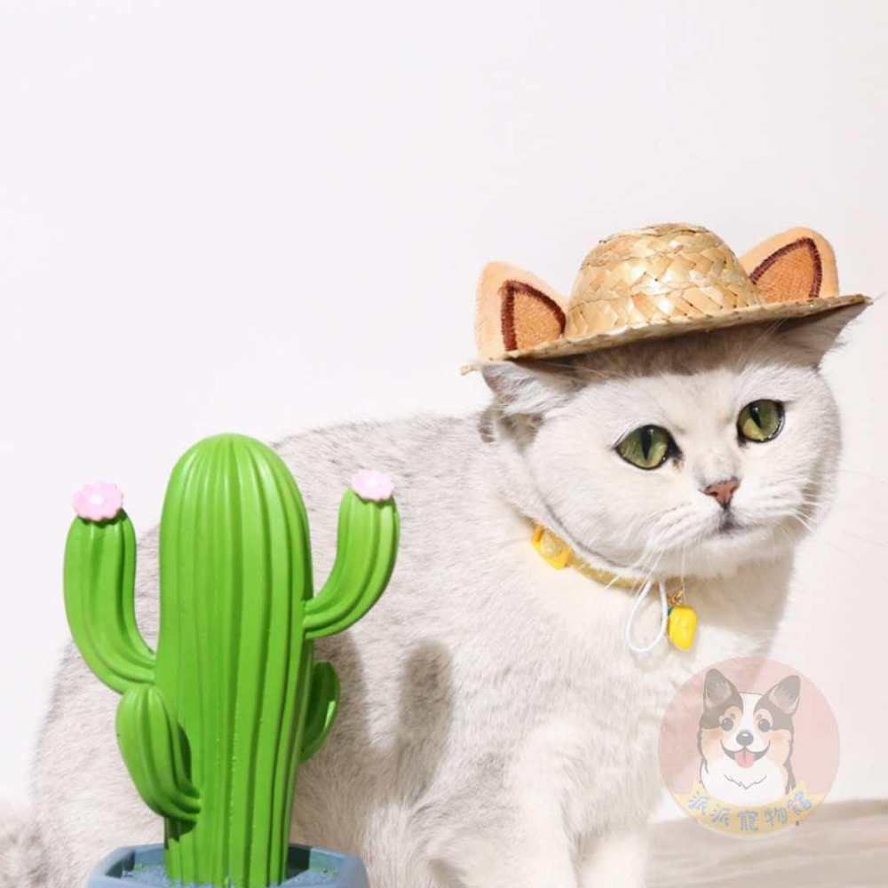 ☘️寵物草帽☘️ 狗狗帽子 貓咪帽子 寵物帽子 狗帽子 貓帽子 寵物配件 寵物服飾 寵物狗狗草帽遮陽帽飾品裝飾頭套夏天-細節圖2