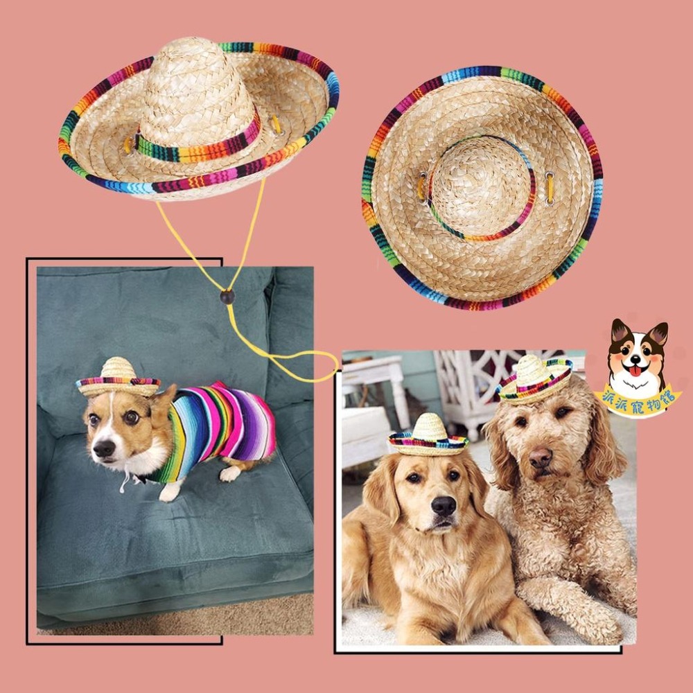 ☘️寵物草帽☘️ 狗狗帽子 貓咪帽子 寵物帽子 狗帽子 貓帽子 寵物配件 寵物服飾 寵物狗狗草帽遮陽帽飾品裝飾頭套夏天-細節圖4