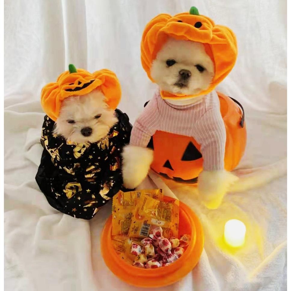 👼寵物造型頭套👼 狗帽子 貓帽 寵物帽 寵物配件 寵物頭套 貓咪頭套貓南瓜狗狗寵物帽子貓咪頭飾可愛招財貓財神爺天使萬聖節-細節圖2