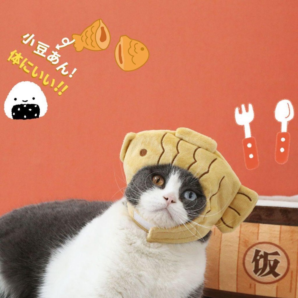👼寵物造型頭套👼 狗帽子 貓帽 寵物帽 寵物配件 寵物頭套 貓咪頭套貓南瓜狗狗寵物帽子貓咪頭飾可愛招財貓財神爺天使萬聖節-細節圖4