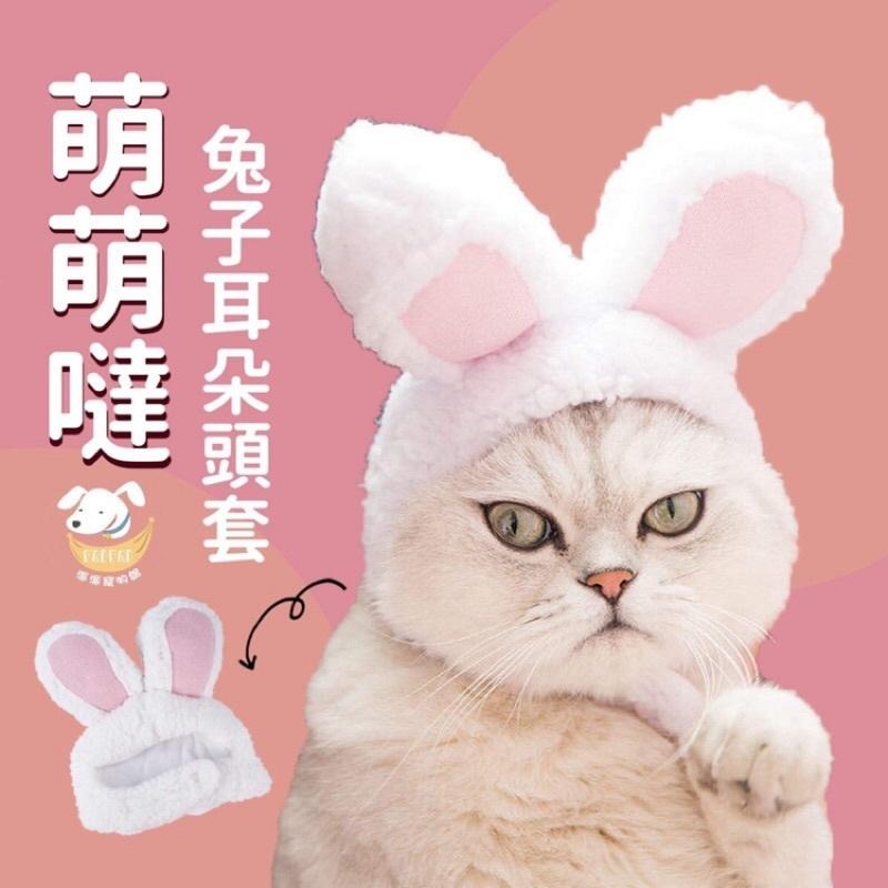 👼寵物造型頭套👼 狗帽子 貓帽 寵物帽 寵物配件 寵物頭套 貓咪頭套貓南瓜狗狗寵物帽子貓咪頭飾可愛招財貓財神爺天使萬聖節-細節圖9