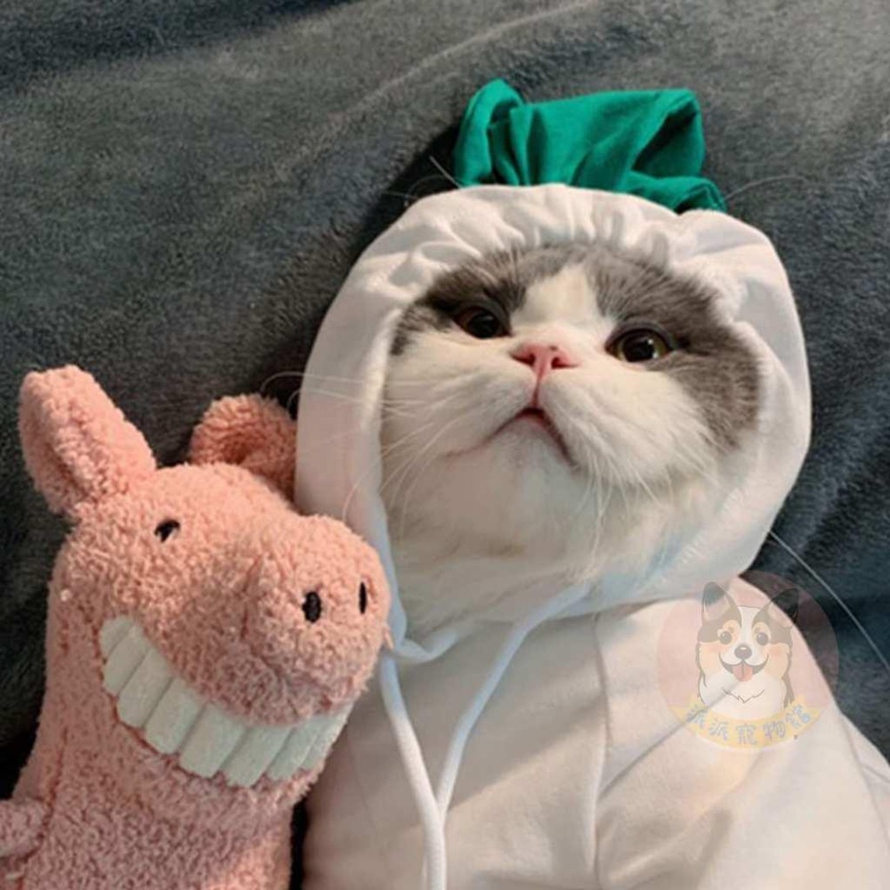 🍌水果帽T🍎 狗衣服 狗狗衣服 貓衣服 寵物衣服 寵物服飾 寵物帽子 小型犬 貓咪幼犬博美吉娃娃比熊貴賓狗小狗衣服帽t-細節圖3