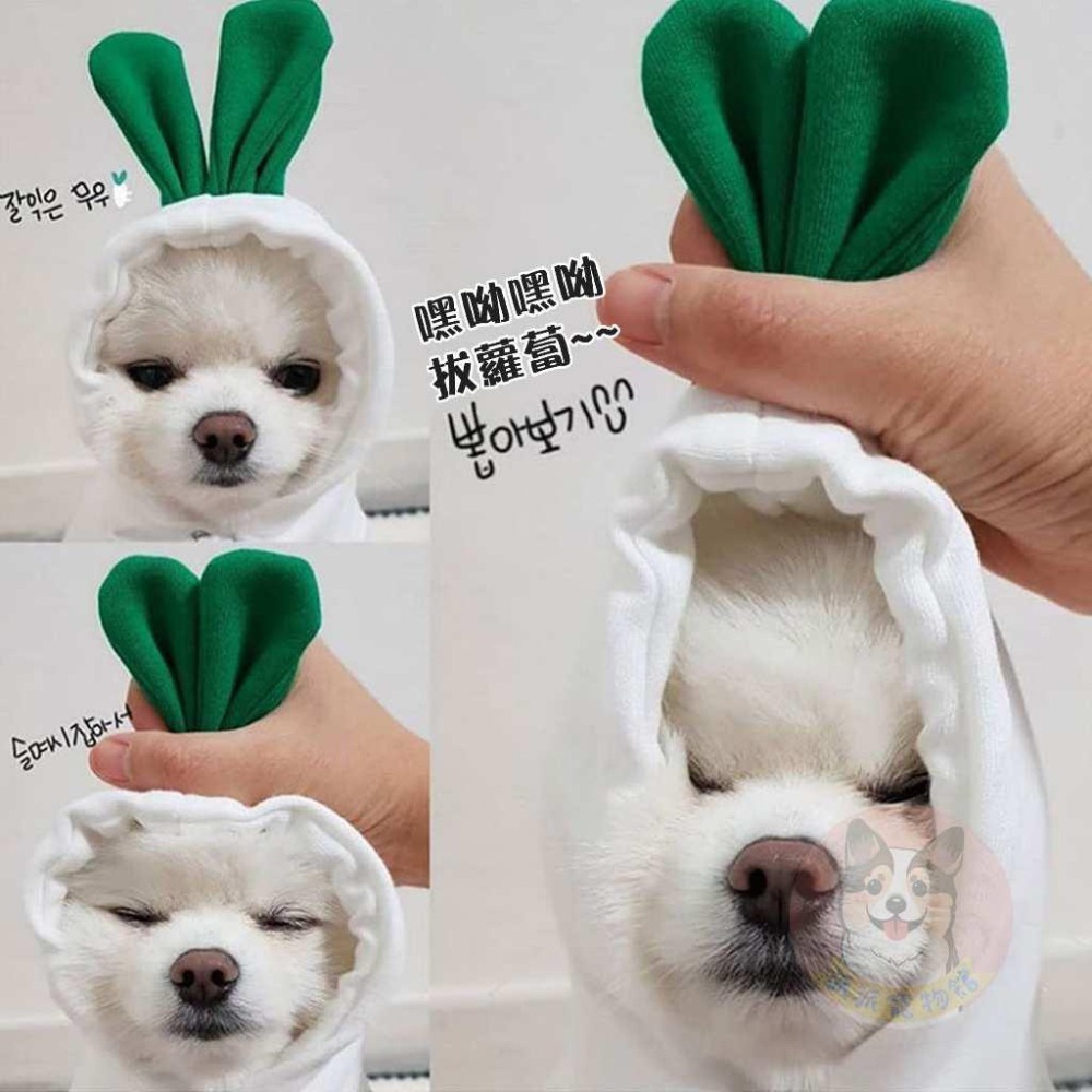 🍌水果帽T🍎 狗衣服 狗狗衣服 貓衣服 寵物衣服 寵物服飾 寵物帽子 小型犬 貓咪幼犬博美吉娃娃比熊貴賓狗小狗衣服帽t-細節圖4