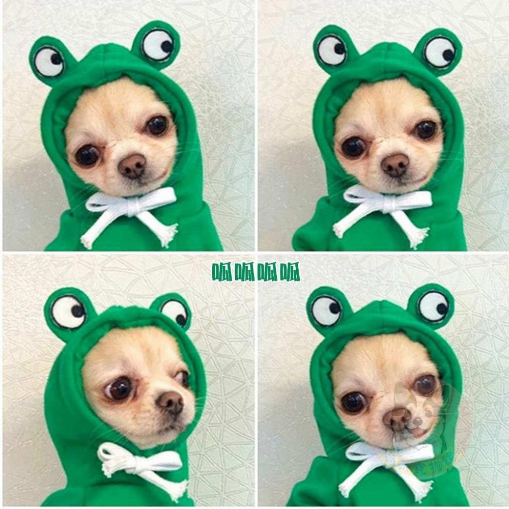 🍌水果帽T🍎 狗衣服 狗狗衣服 貓衣服 寵物衣服 寵物服飾 寵物帽子 小型犬 貓咪幼犬博美吉娃娃比熊貴賓狗小狗衣服帽t-細節圖5