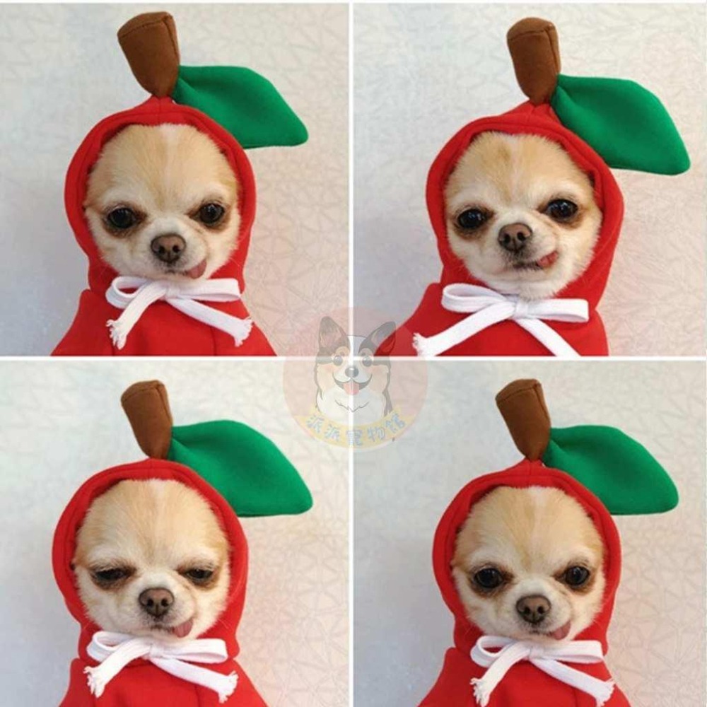 🍌水果帽T🍎 狗衣服 狗狗衣服 貓衣服 寵物衣服 寵物服飾 寵物帽子 小型犬 貓咪幼犬博美吉娃娃比熊貴賓狗小狗衣服帽t-細節圖8