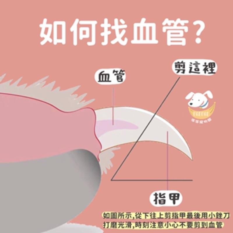 狗狗指甲剪+銼刀✂️ 狗狗指甲剪 寵物指甲剪 狗指甲剪 寵物剪指甲 寵物美容 狗狗剪指甲  寵物指甲刀寵物用品狗狗用品-細節圖2