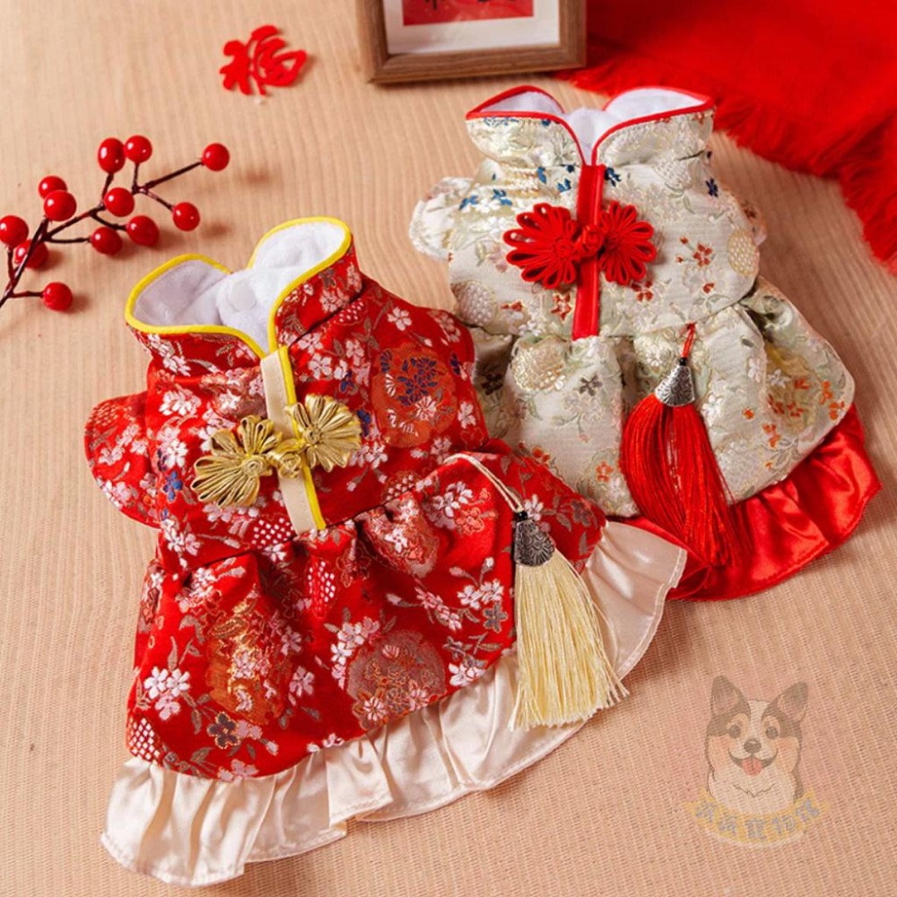 新年背心+紅包袋🧨 貓衣服 狗衣服 寵物衣服 寵物配件 寵物過年 寵物紅包袋 狗狗紅包 狗狗衣服 貓咪衣服寵物新年服飾-細節圖6