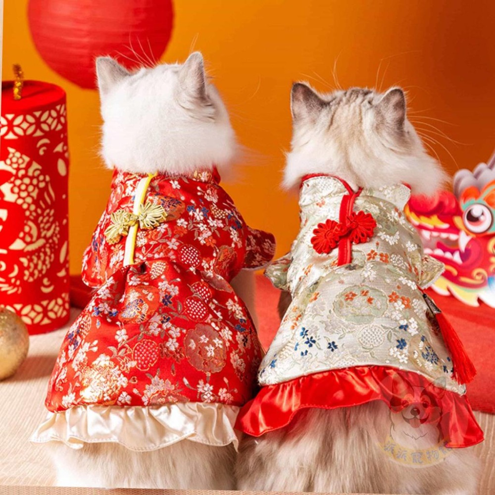 新年背心+紅包袋🧨 貓衣服 狗衣服 寵物衣服 寵物配件 寵物過年 寵物紅包袋 狗狗紅包 狗狗衣服 貓咪衣服寵物新年服飾-細節圖7