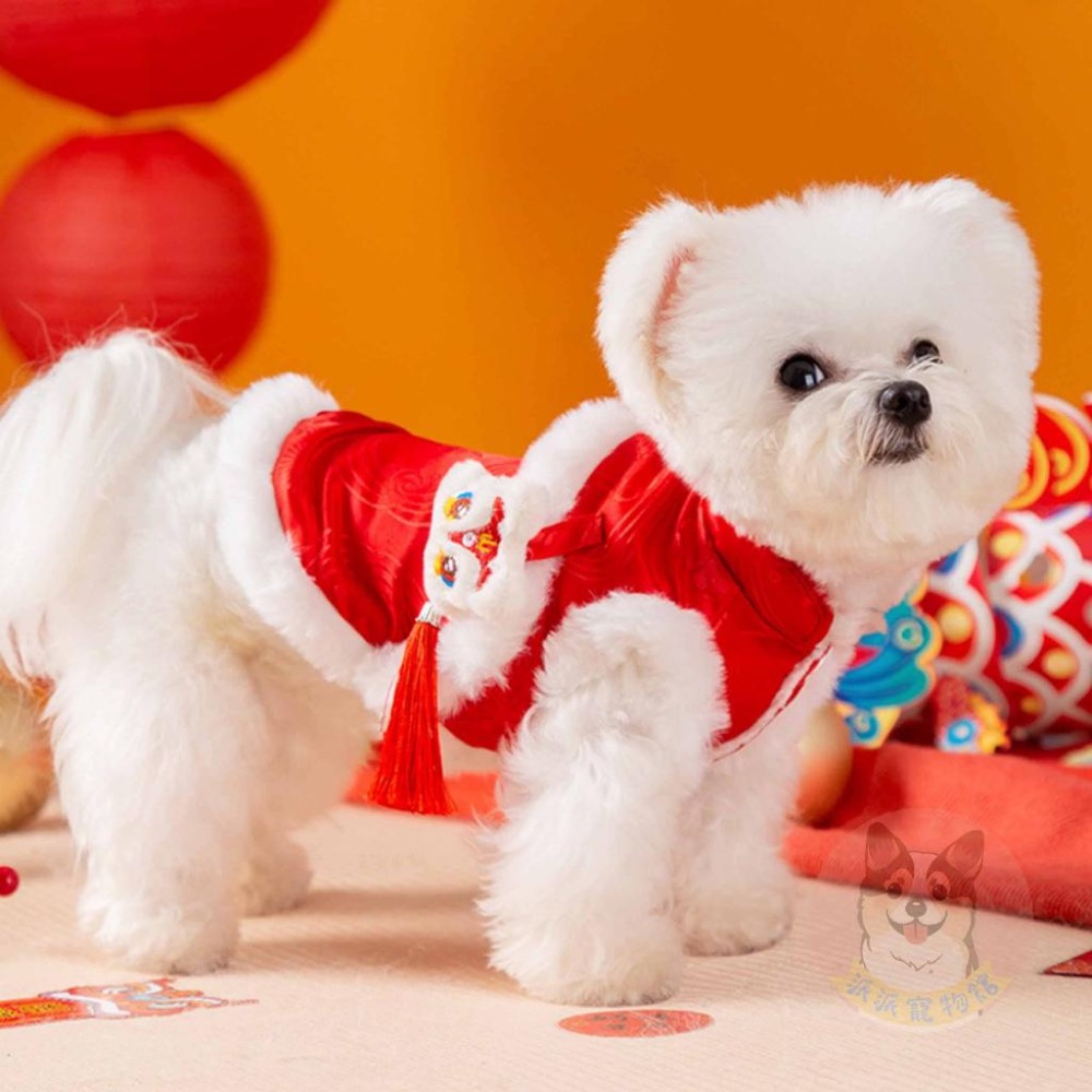 新年背心+紅包袋🧨 貓衣服 狗衣服 寵物衣服 寵物配件 寵物過年 寵物紅包袋 狗狗紅包 狗狗衣服 貓咪衣服寵物新年服飾-細節圖8