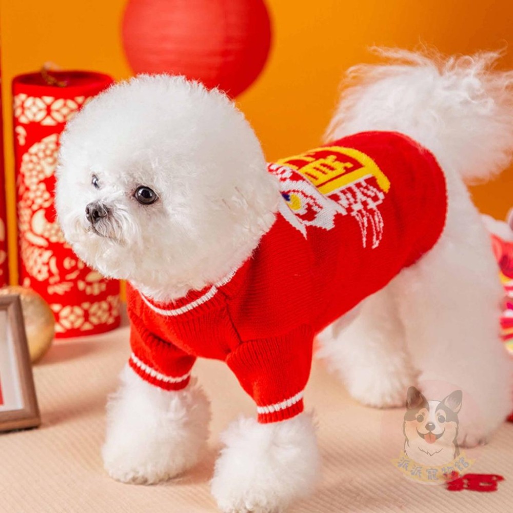 新年背心+紅包袋🧨 貓衣服 狗衣服 寵物衣服 寵物配件 寵物過年 寵物紅包袋 狗狗紅包 狗狗衣服 貓咪衣服寵物新年服飾-細節圖9