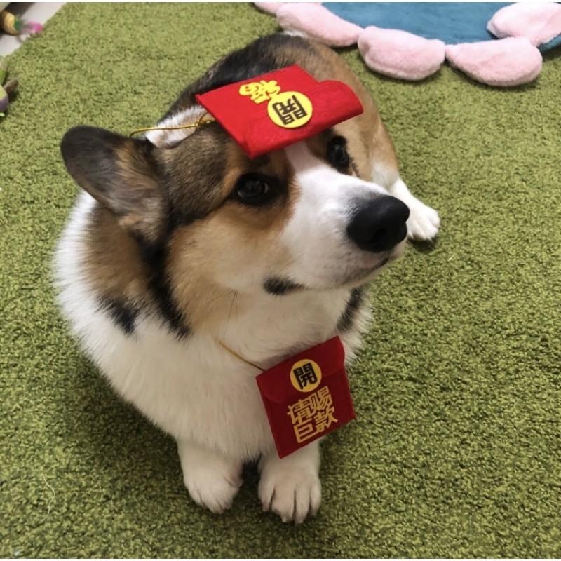 好運旺旺來🎉 寵物紅包袋🧧 寵物紅包 狗狗紅包 寵物配件 寵物過年 狗狗 新年紅包貓咪寵物項圈寵物領巾狗項圈開運紅包袋-細節圖5