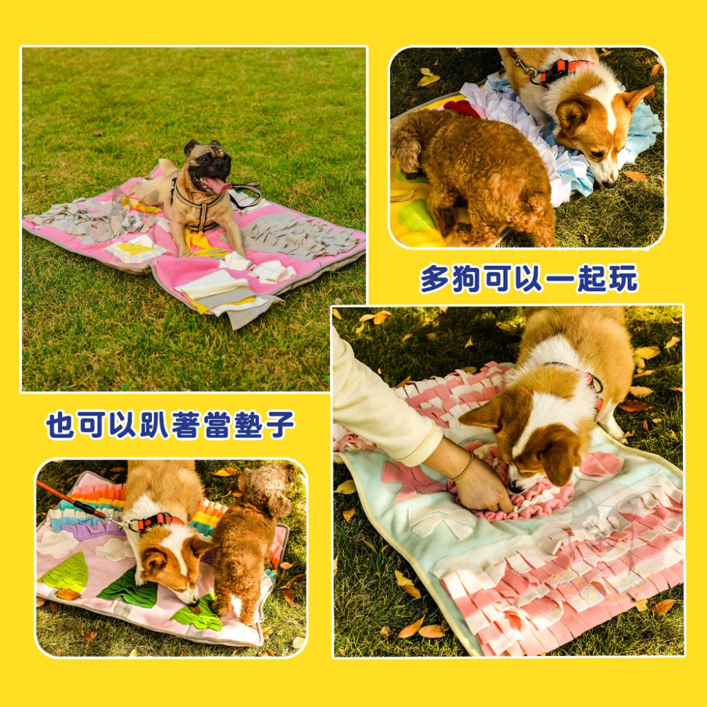 消耗精力🥳 嗅聞墊 幼犬玩具 嗅聞玩具 藏食玩具 聞嗅墊 狗狗玩具 寵物益智玩具 狗玩具寵物玩具小狗玩具狗狗嗅聞寵物墊-細節圖5
