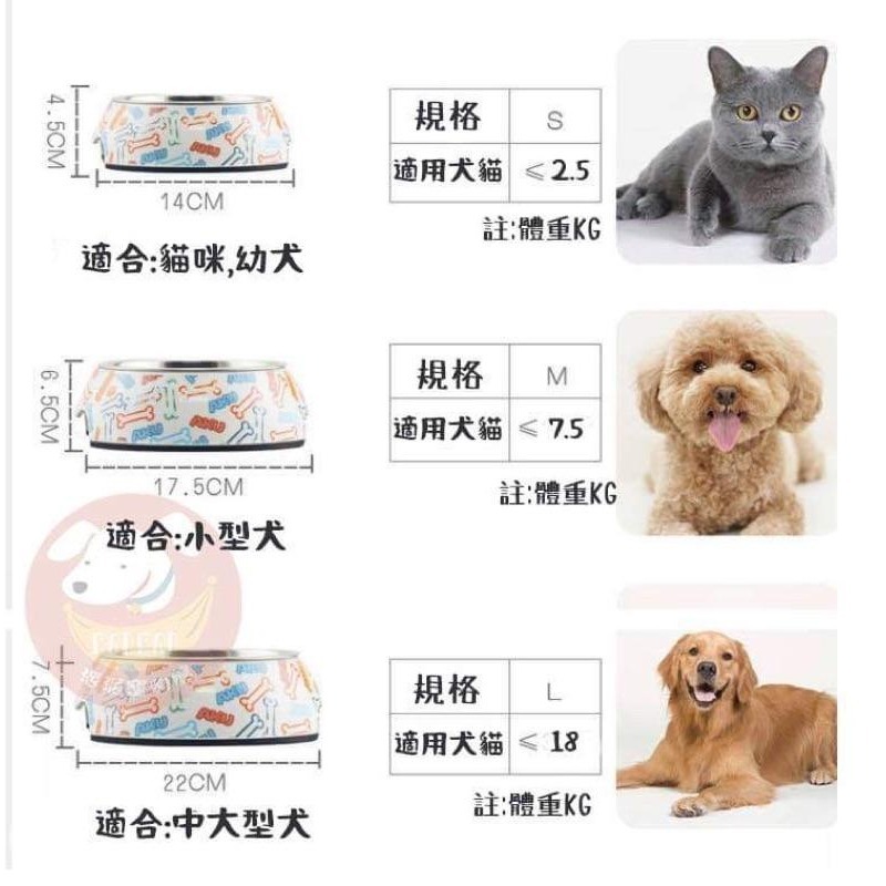 🍴寵物碗不鏽鋼🥣  狗碗 寵物碗 狗狗碗 貓碗 寵物陶瓷碗 寵物飼料碗 飼料碗 寵物水碗 寵物喝水寵物用品寵物雙層碗-細節圖6