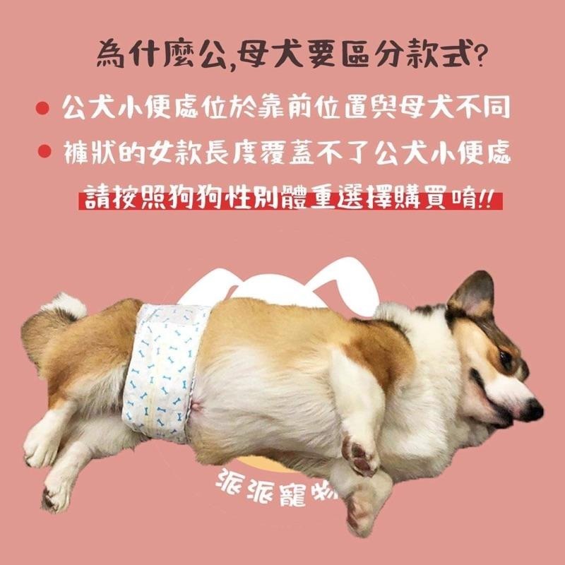 🔸DONO尿布/生理褲🔸 寵物尿布 狗狗尿布 狗尿布 公狗禮貌帶 寵物禮貌帶 寵物狗狗生理褲紙尿褲母狗公狗尿布狗狗用品-細節圖2