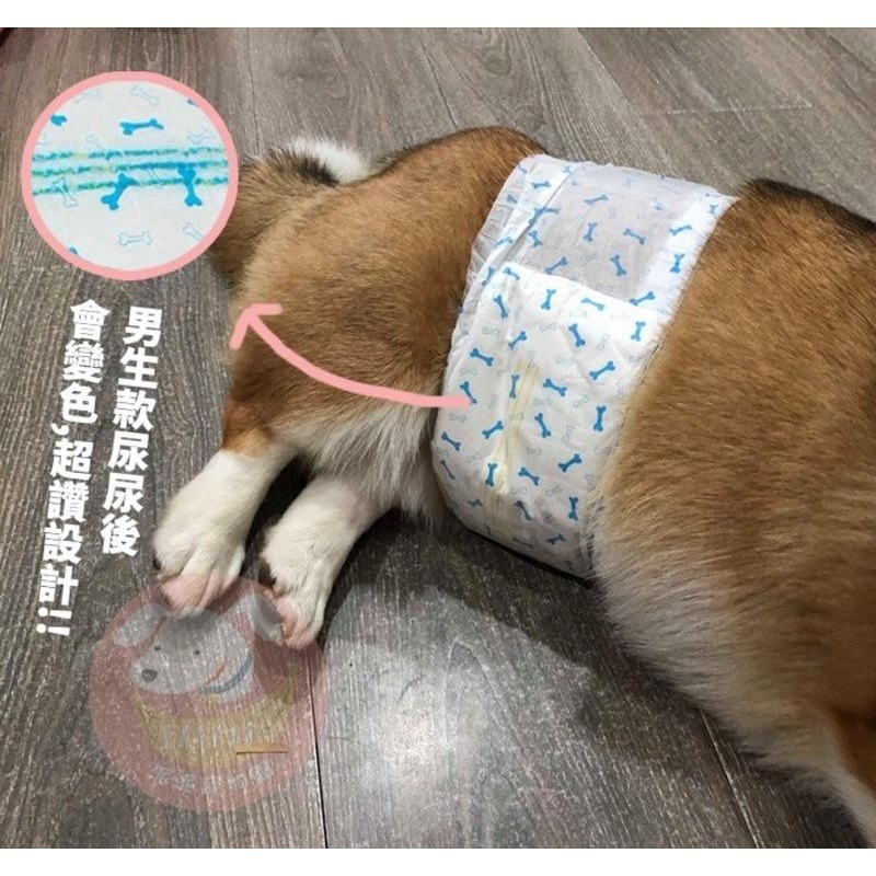 🔸DONO尿布/生理褲🔸 寵物尿布 狗狗尿布 狗尿布 公狗禮貌帶 寵物禮貌帶 寵物狗狗生理褲紙尿褲母狗公狗尿布狗狗用品-細節圖7