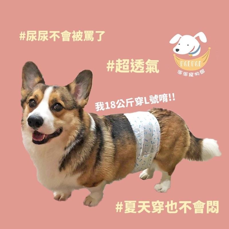 🔸DONO尿布/生理褲🔸 寵物尿布 狗狗尿布 狗尿布 公狗禮貌帶 寵物禮貌帶 寵物狗狗生理褲紙尿褲母狗公狗尿布狗狗用品-細節圖8
