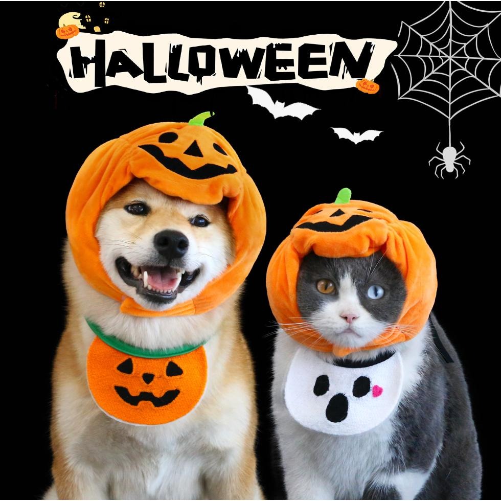 🎉卡哇伊😆 韓國INS 寵物口水巾 狗狗領巾 貓咪領巾 寵物圍兜 寵物領巾 寵物配件 狗領巾 寵物圍脖圍巾 貓咪 狗狗-細節圖2