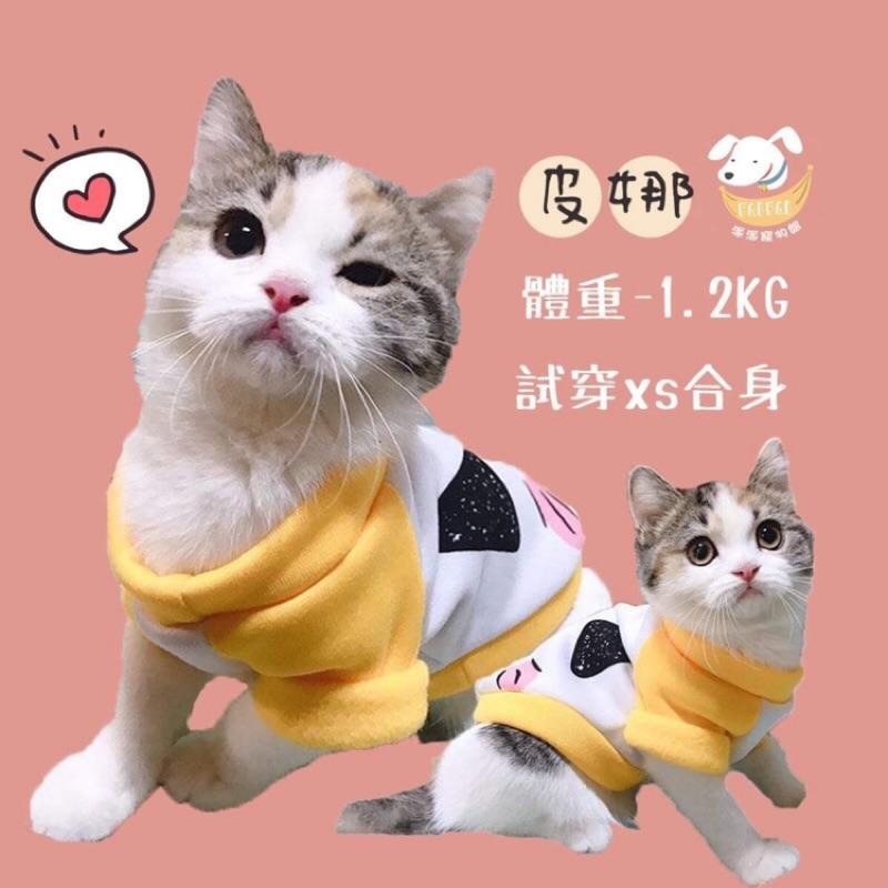 台灣現貨🔜🐱貓咪衛衣💛 貓衣服 寵物衣服 寵物服飾 貓咪衣服 小貓衣服 小狗衣服幼貓幼犬衣服狗衣服狗狗衣服狗狗貓咪貓衣-細節圖3