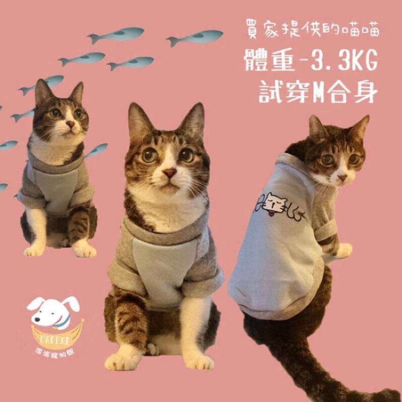 台灣現貨🔜🐱貓咪衛衣💛 貓衣服 寵物衣服 寵物服飾 貓咪衣服 小貓衣服 小狗衣服幼貓幼犬衣服狗衣服狗狗衣服狗狗貓咪貓衣-細節圖4