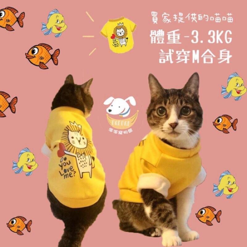 台灣現貨🔜🐱貓咪衛衣💛 貓衣服 寵物衣服 寵物服飾 貓咪衣服 小貓衣服 小狗衣服幼貓幼犬衣服狗衣服狗狗衣服狗狗貓咪貓衣-細節圖5