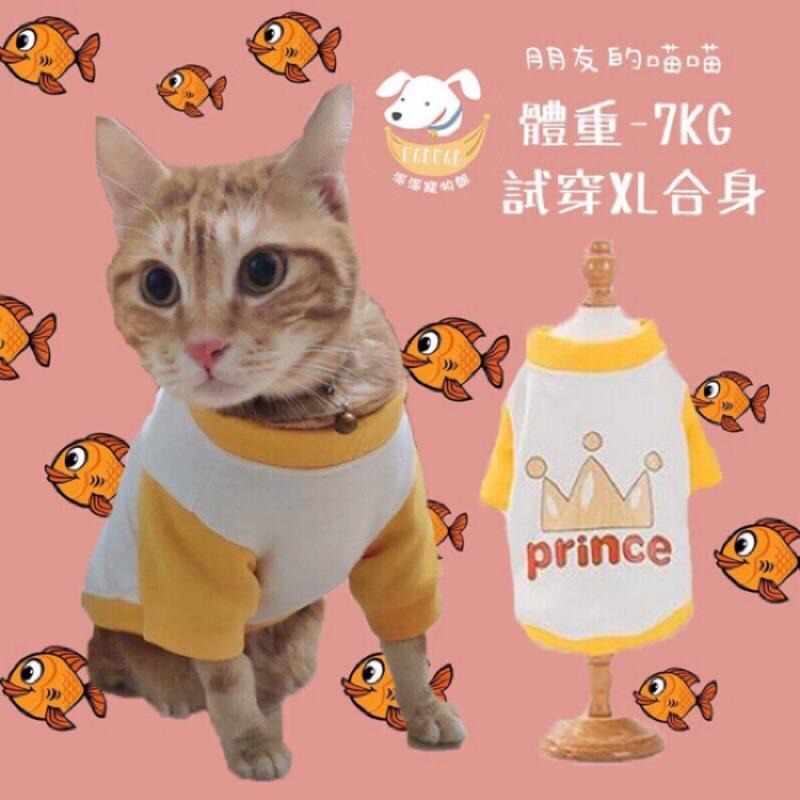 台灣現貨🔜🐱貓咪衛衣💛 貓衣服 寵物衣服 寵物服飾 貓咪衣服 小貓衣服 小狗衣服幼貓幼犬衣服狗衣服狗狗衣服狗狗貓咪貓衣-細節圖6