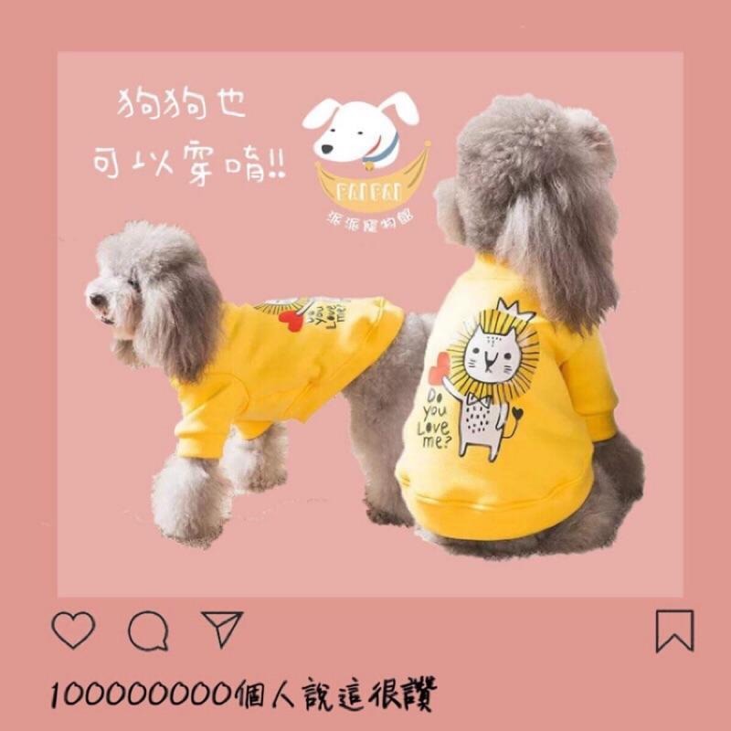 台灣現貨🔜🐱貓咪衛衣💛 貓衣服 寵物衣服 寵物服飾 貓咪衣服 小貓衣服 小狗衣服幼貓幼犬衣服狗衣服狗狗衣服狗狗貓咪貓衣-細節圖7
