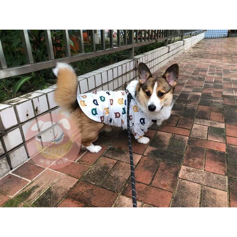 🐻小熊雨衣🐻 法鬥雨衣 狗狗雨衣 狗狗 柯基雨衣 柴犬雨衣 狗雨衣 寵物雨衣 寵物用品 狗狗用品 狗用品 小狗雨衣 狗-細節圖9