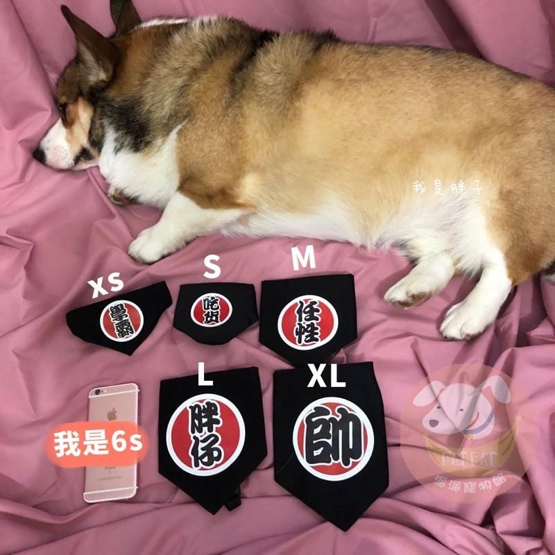 🐾寵物三角領巾🧣 寵物口水巾 寵物圍巾 寵物領巾 寵物項圈 寵物口水巾 貓領巾 狗狗口水巾 寵物圍兜兜狗貓項圈寵物項圈-細節圖3