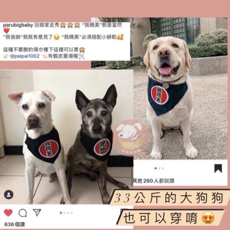 🐾寵物三角領巾🧣 寵物口水巾 寵物圍巾 寵物領巾 寵物項圈 寵物口水巾 貓領巾 狗狗口水巾 寵物圍兜兜狗貓項圈寵物項圈-細節圖5