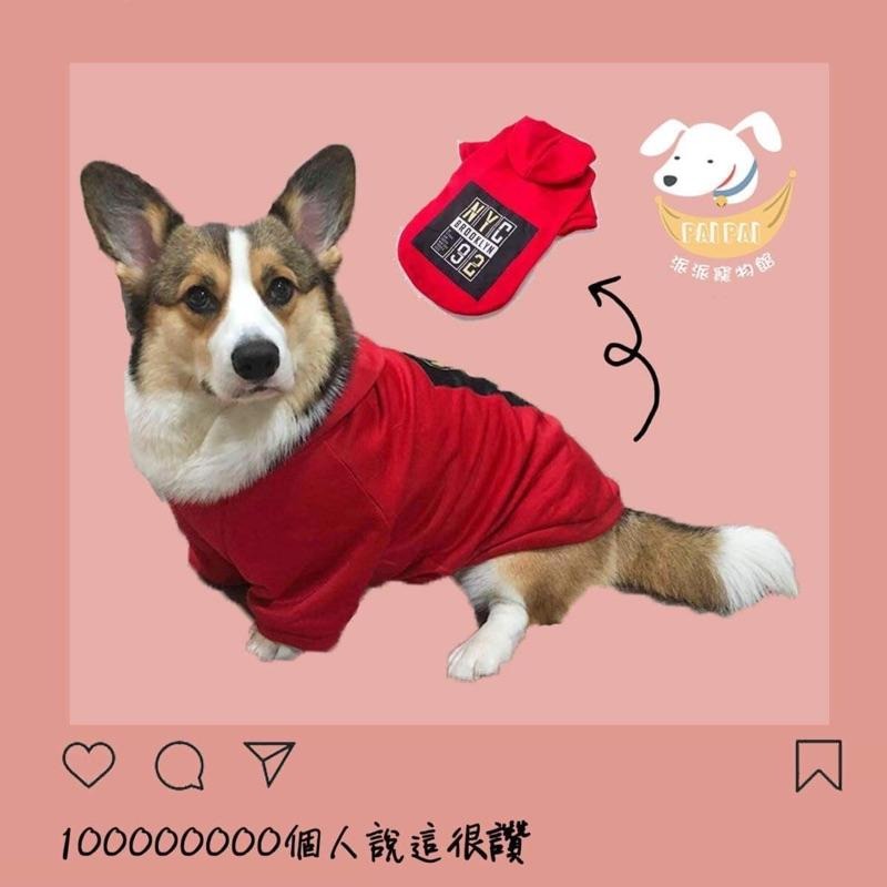 💛狗狗帽t💛 狗狗衣服 大狗衣服 狗衣服 寵物衣服 寵物服飾 柴犬衣服 柯基衣服 中型犬衣服大型犬衣服黃金獵犬衣服狗狗-細節圖3