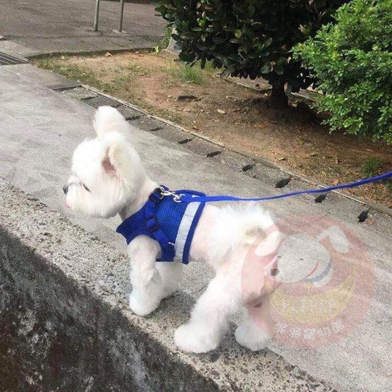 晚上會反光✨寵物胸背帶🐾 胸背帶 狗胸背帶 寵物背帶 狗狗胸背帶 胸背 牽繩 牽引繩小型犬胸背帶狗牽繩狗狗牽繩狗繩狗狗-細節圖6
