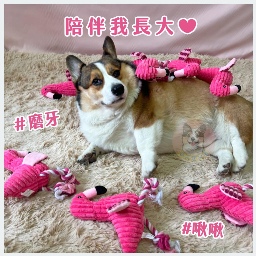 🦩紅鶴玩具🦩 狗玩具 寵物玩具 寵物娃娃 狗狗玩具 啾啾玩具 小狗玩具 幼犬玩具 發聲玩具 紅鶴 毛絨玩具 狗狗火烈鳥-細節圖2