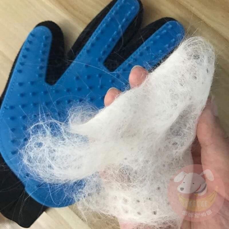 🧤寵物除毛手套🧤 貓梳 寵物洗澡手套 寵物洗澡 寵物除毛 除貓毛貓咪梳毛寵物清潔寵物手套除毛手套寵物梳毛梳毛手套寵物梳-細節圖9