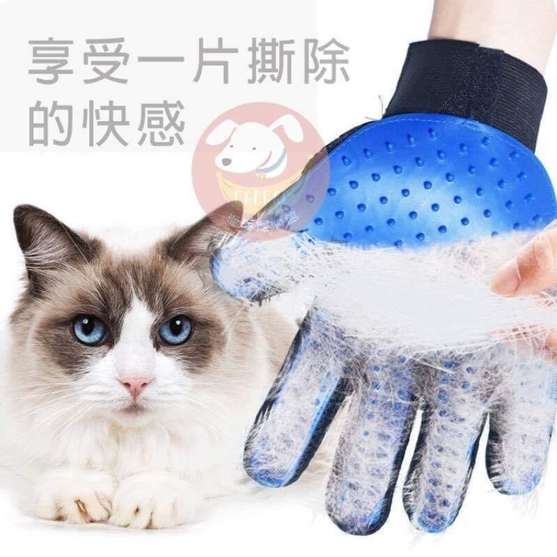 🧤寵物除毛手套🧤 貓梳 寵物洗澡手套 寵物洗澡 寵物除毛 除貓毛貓咪梳毛寵物清潔寵物手套除毛手套寵物梳毛梳毛手套寵物梳-細節圖6