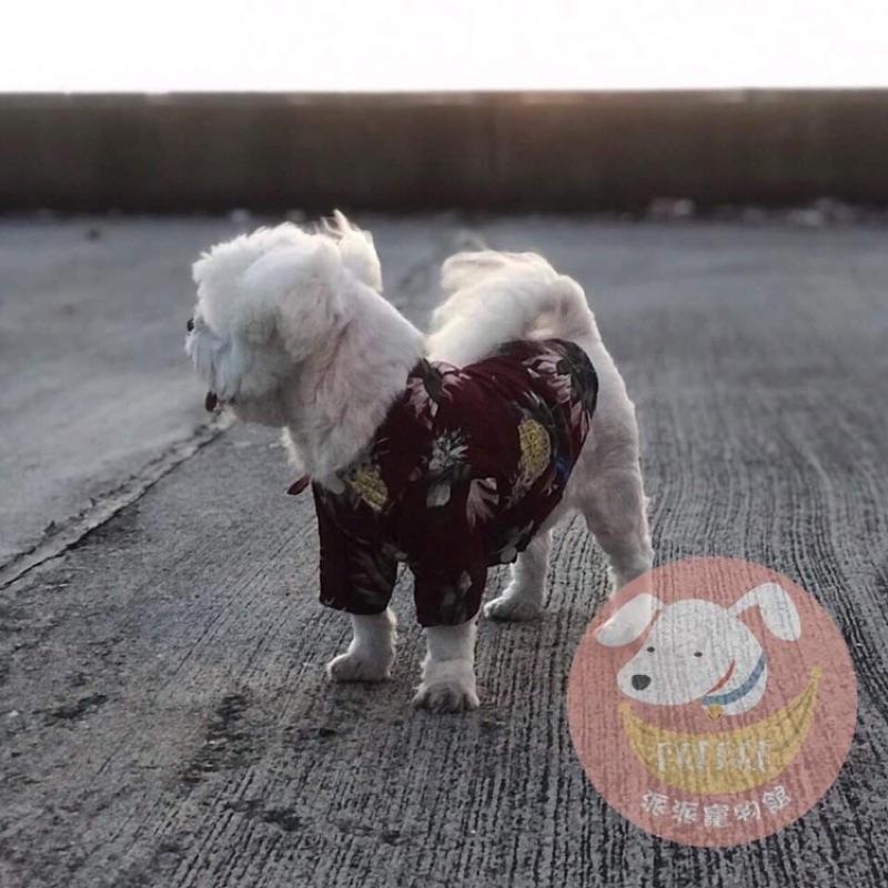 🍍夏威夷襯衫⛱️ 狗狗衣服 寵物衣服 狗狗襯衫 寵物服飾 狗襯衫 貴賓狗博美比熊吉娃娃衣服 貓咪衣服 狗衣服 寵物襯衫-細節圖5