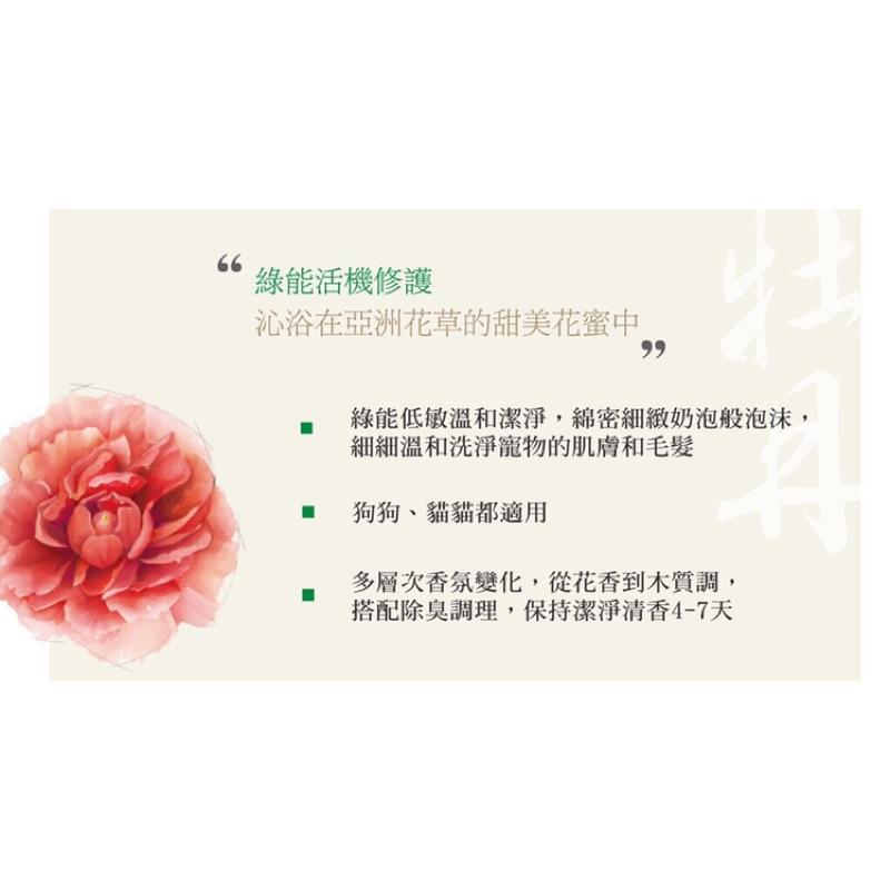 🌸YU洗毛精🌸 東方森草 狗狗洗澡 狗狗沐浴乳 寵物洗毛精 狗洗毛精 寵物沐浴乳 狗沐浴乳 寵物洗澡 洗毛精 狗洗澡 狗-細節圖3